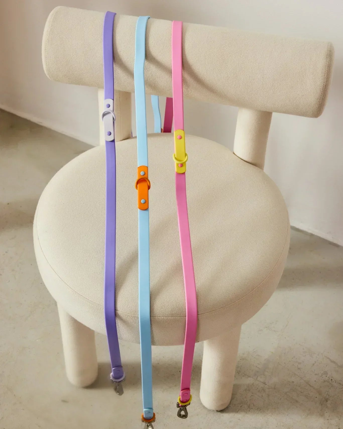Pourquoi choisir un collier et une laisse waterproof pour son chien ?
