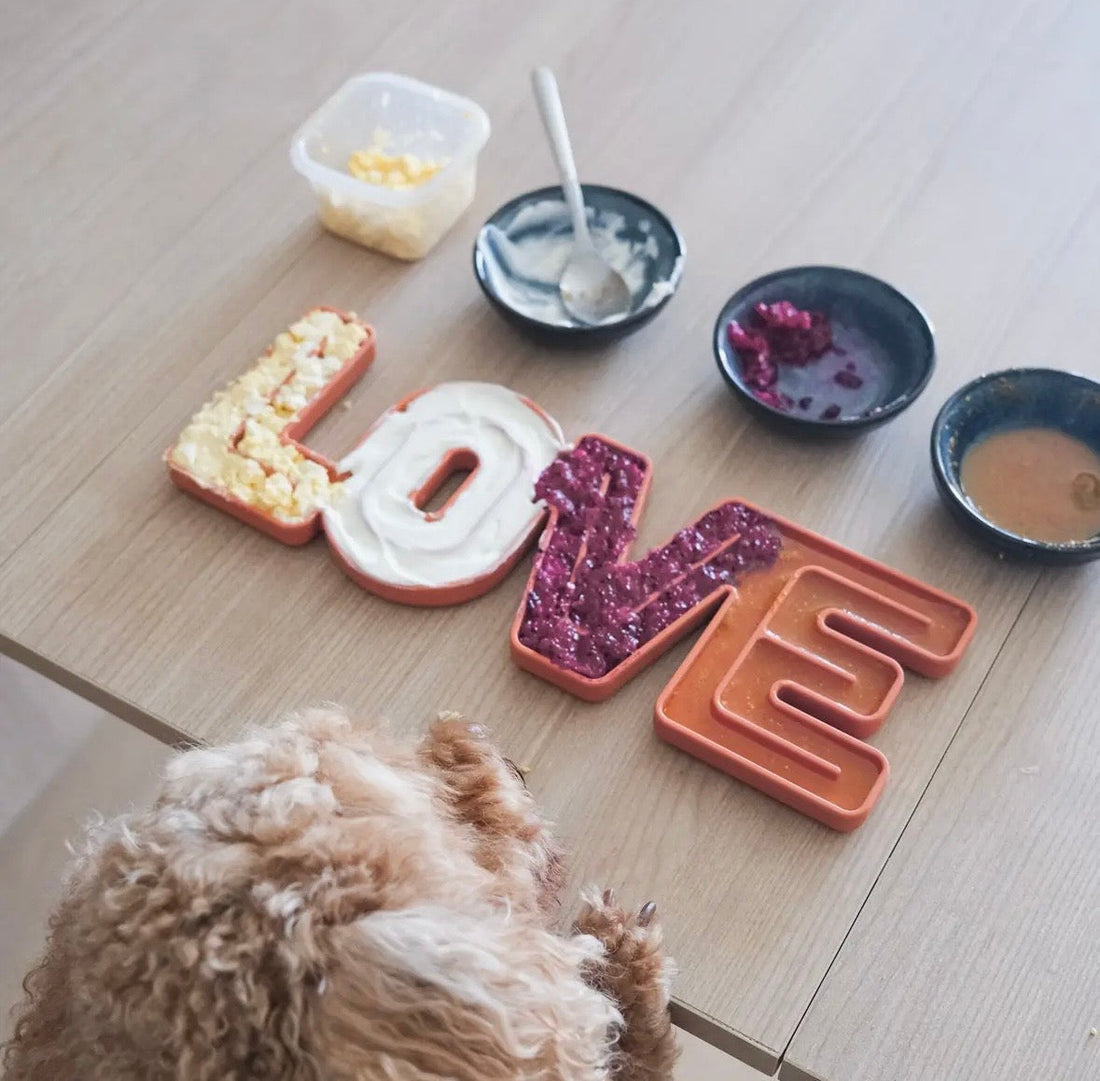 10 recettes glacées pour chien à faire à la maison