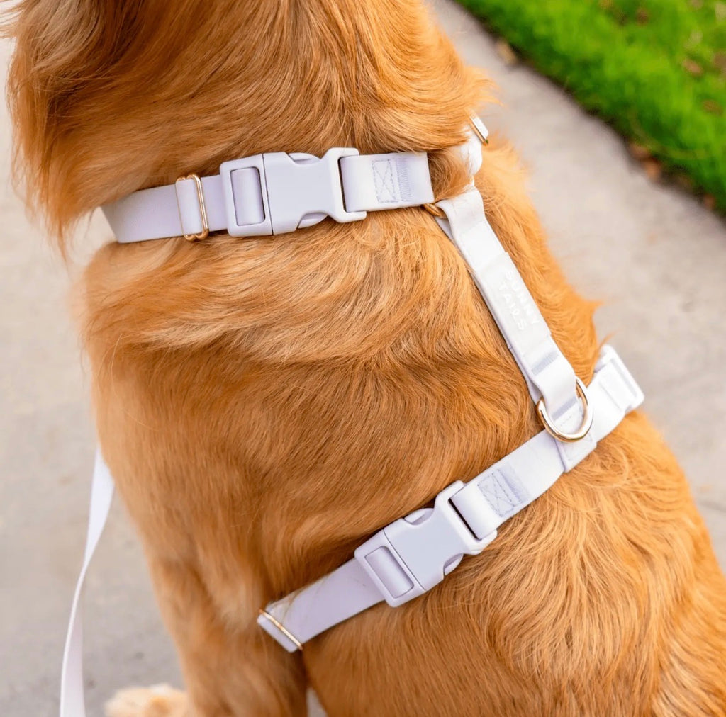 Harnais pour chien imperméable | Sunny Sunny Tails