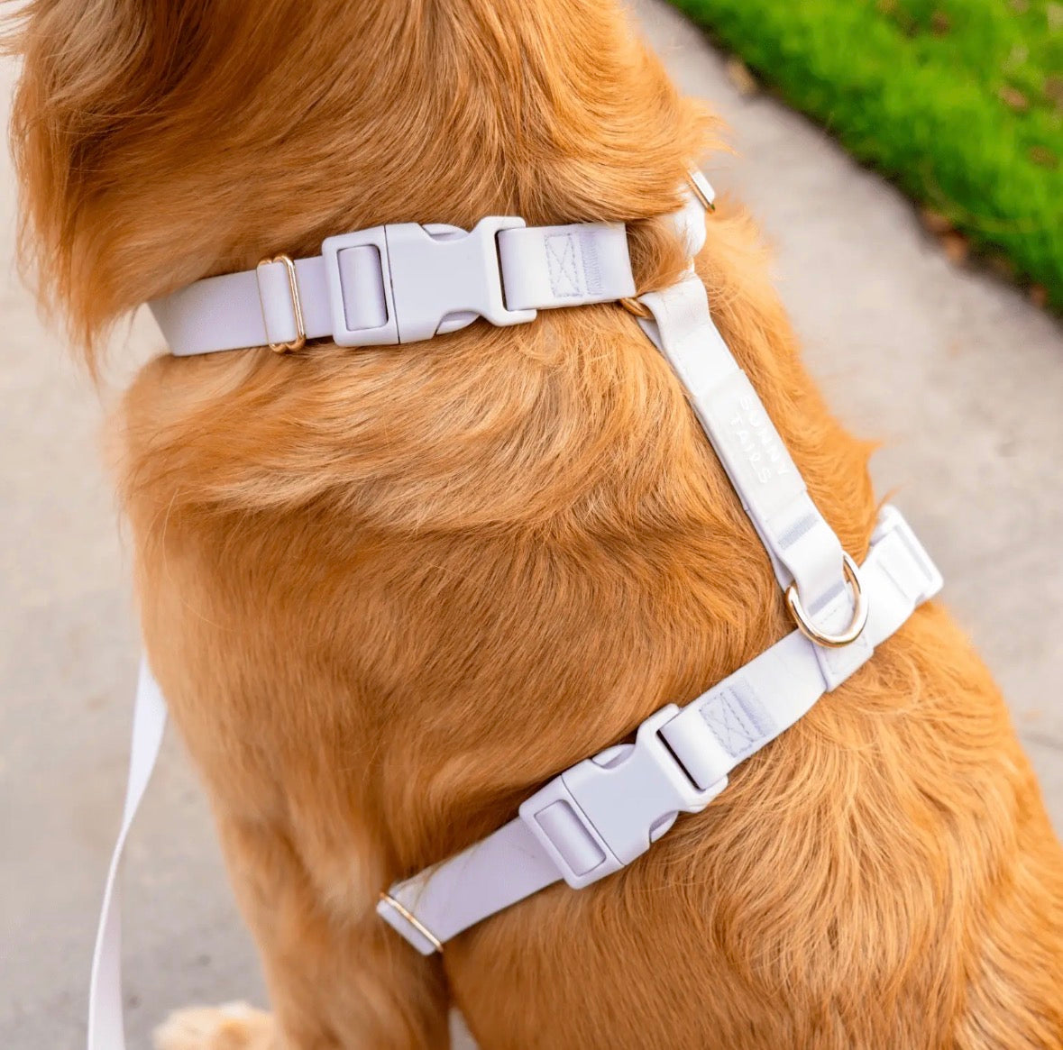 Harnais pour chien imperméable | Sunny Sunny Tails