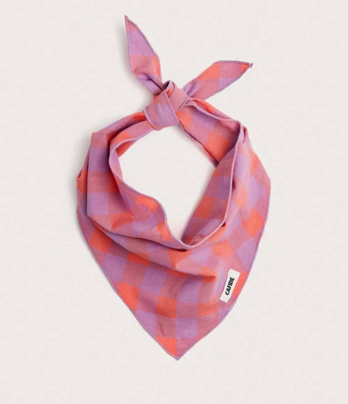 Bandana | Suzie Cafide
