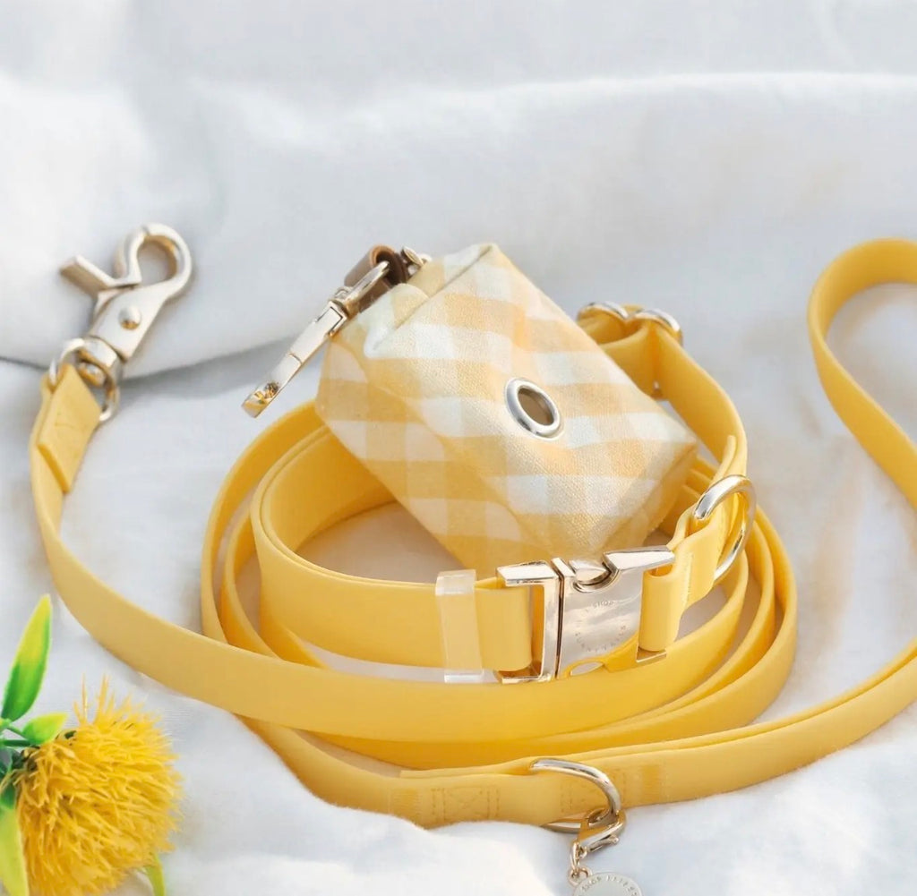 Laisse imperméable | Sunny Sunny Tails