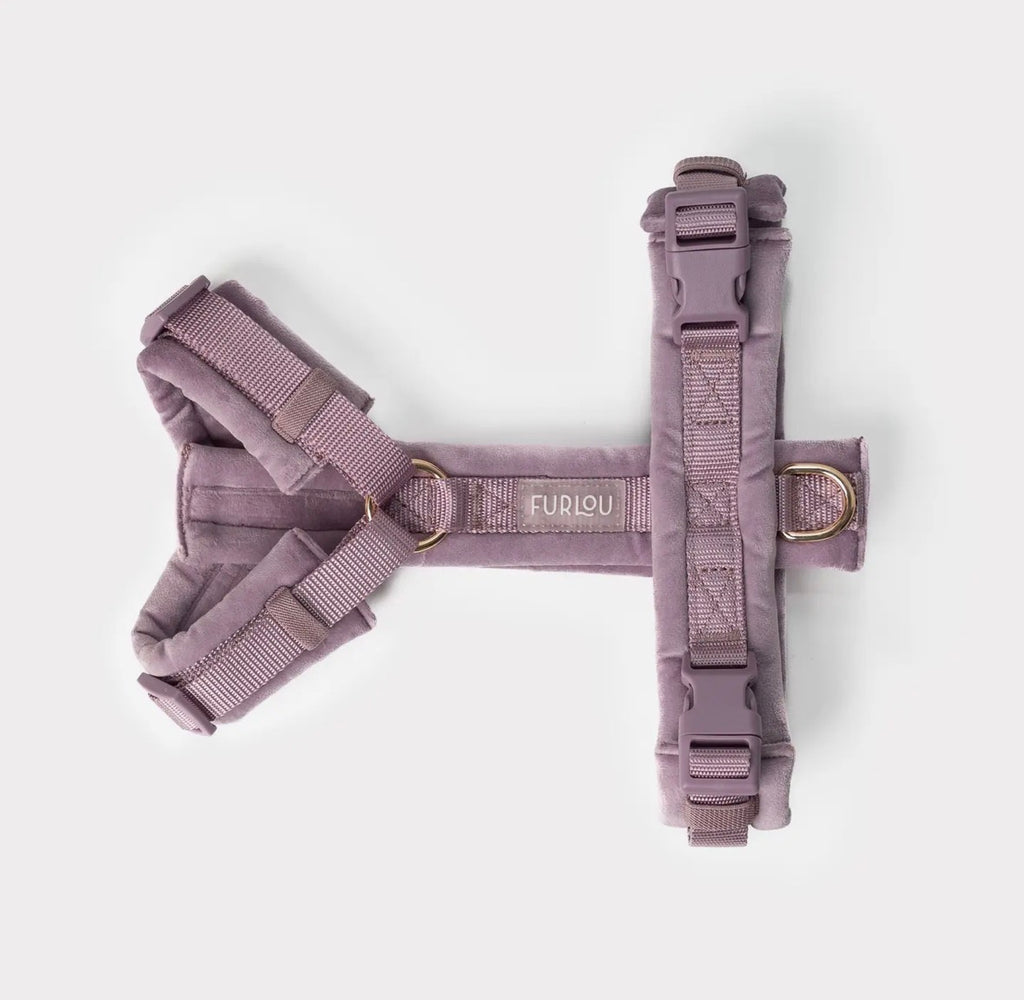 Harnais Velours | Sand Furlou