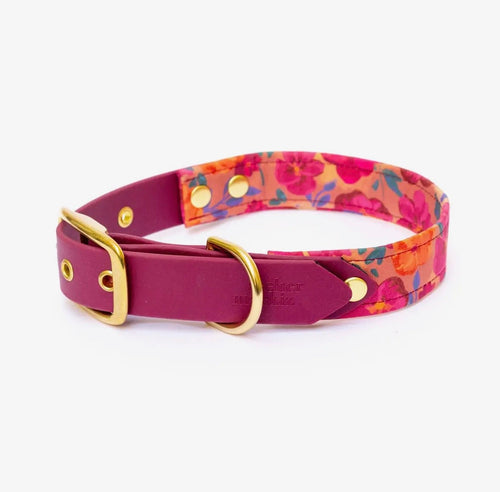 Collier avec Biothane | Colette Atelier Marquiz