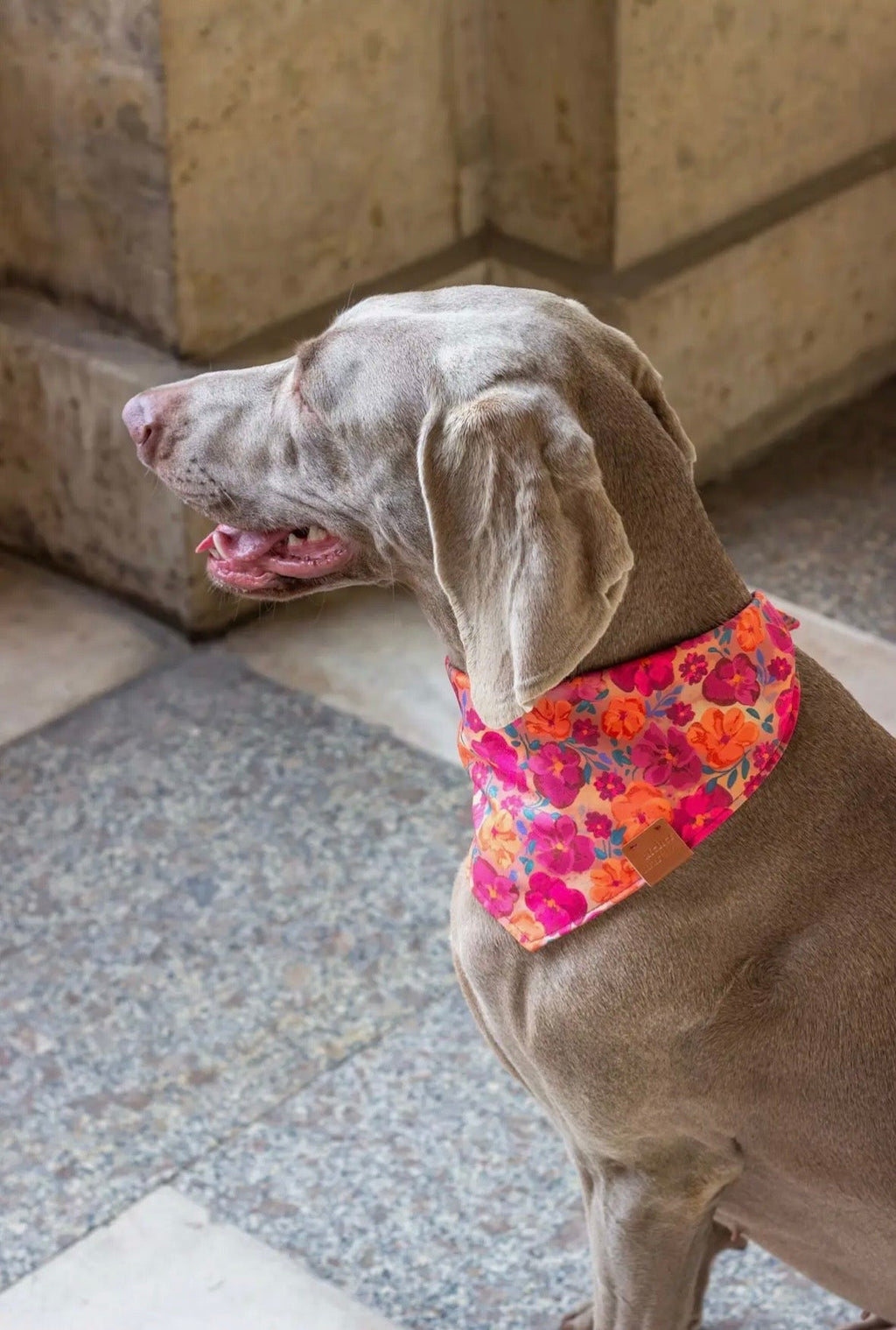Bandana | Colette Atelier Marquiz