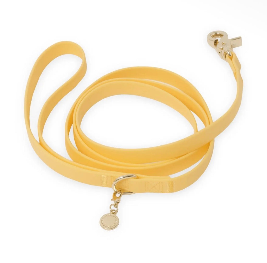 Laisse imperméable | Sunny Sunny Tails