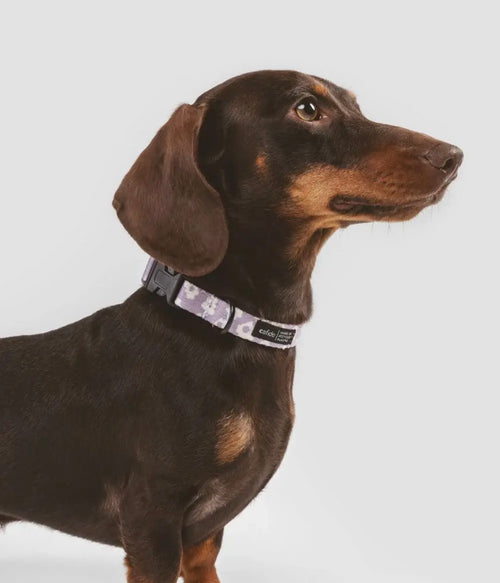 Collier en tissu recyclé | Léon Cafide