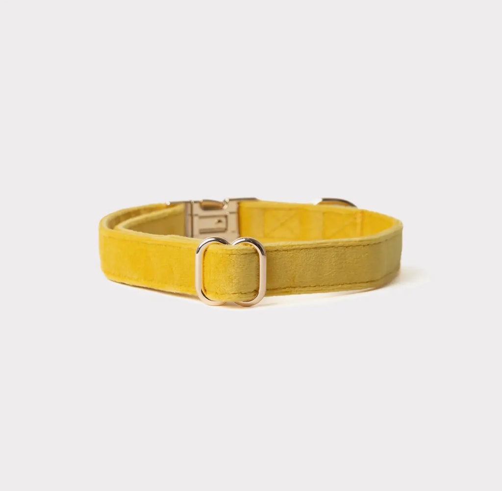 Collier velours | Aura Furlou