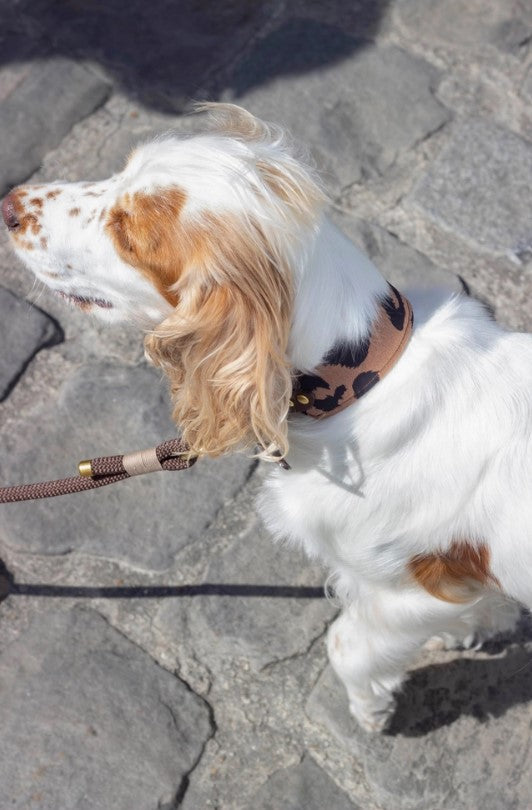 Collier Wild Léopard & Biothane