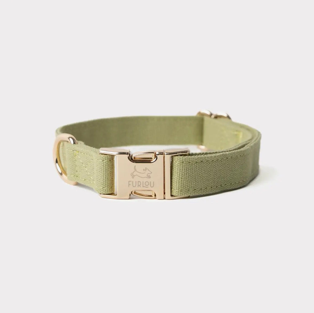 Collier en toile | Nox Furlou