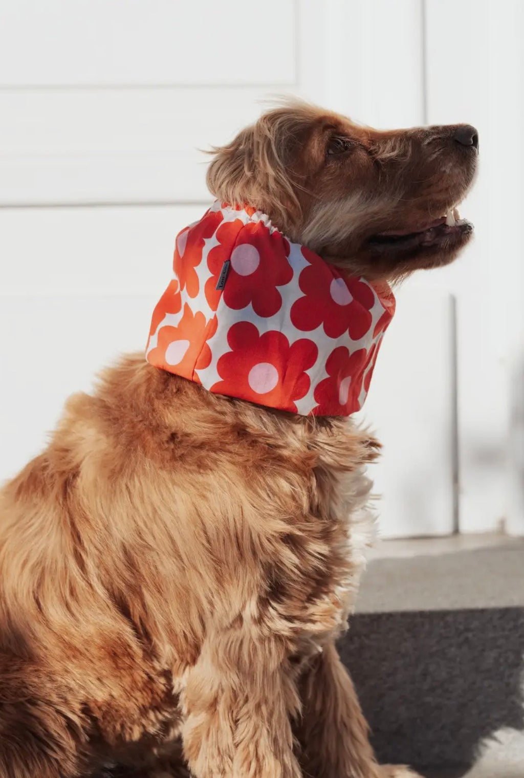 Snood | Billie Lou and Co.