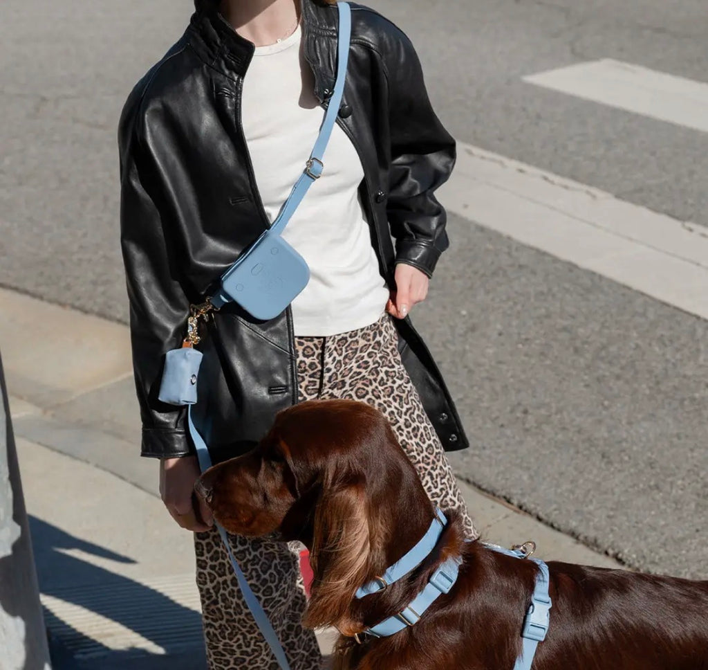 Laisse mains libres imperméable | Sunny Sunny Tails