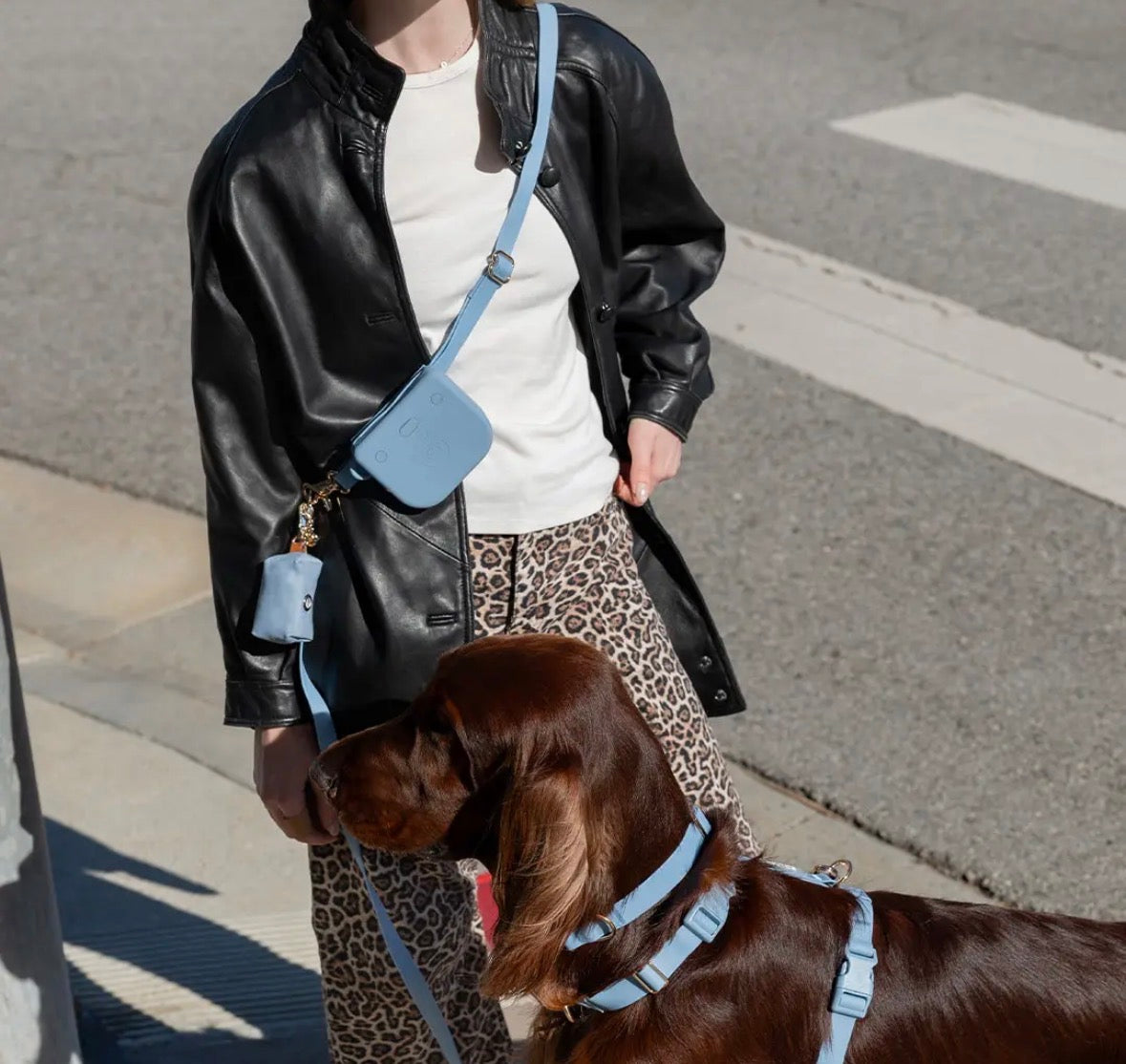 Laisse mains libres imperméable | Sunny Sunny Tails