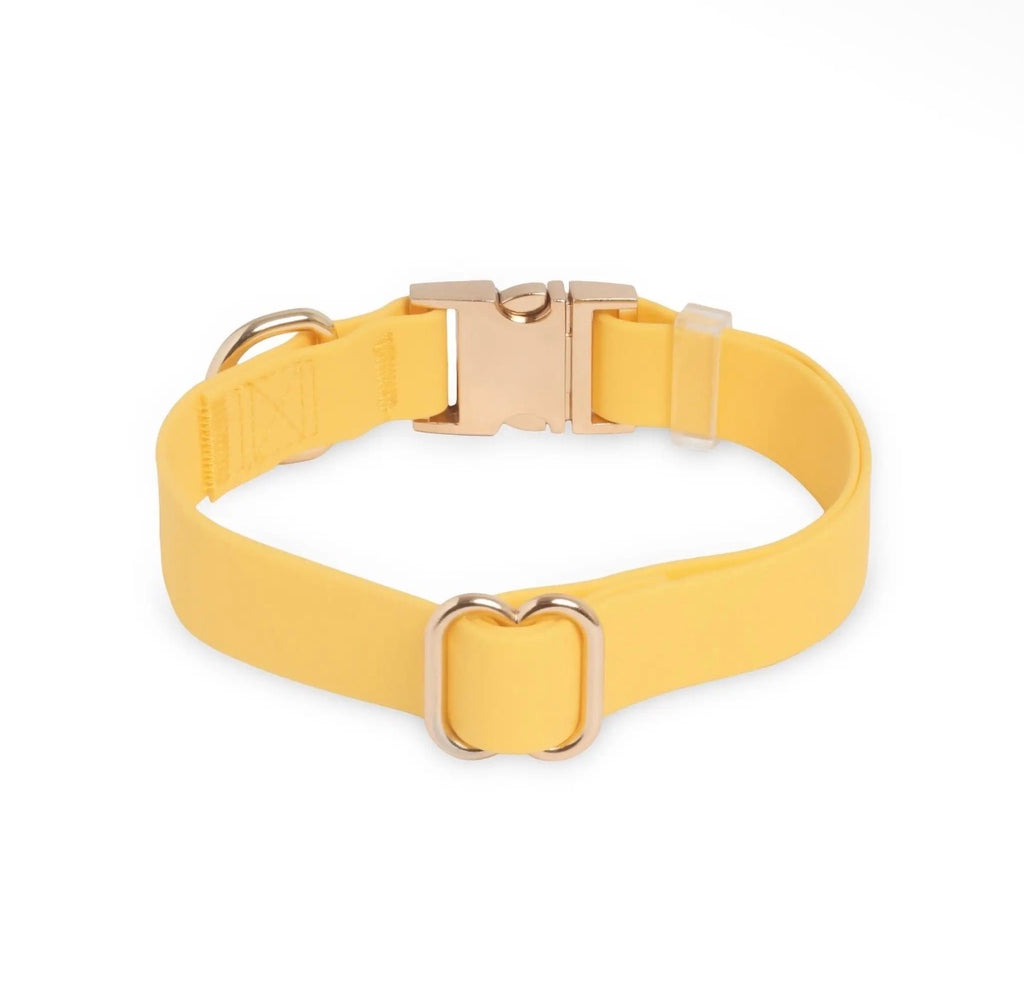 Collier imperméable | Sunny Sunny Tails