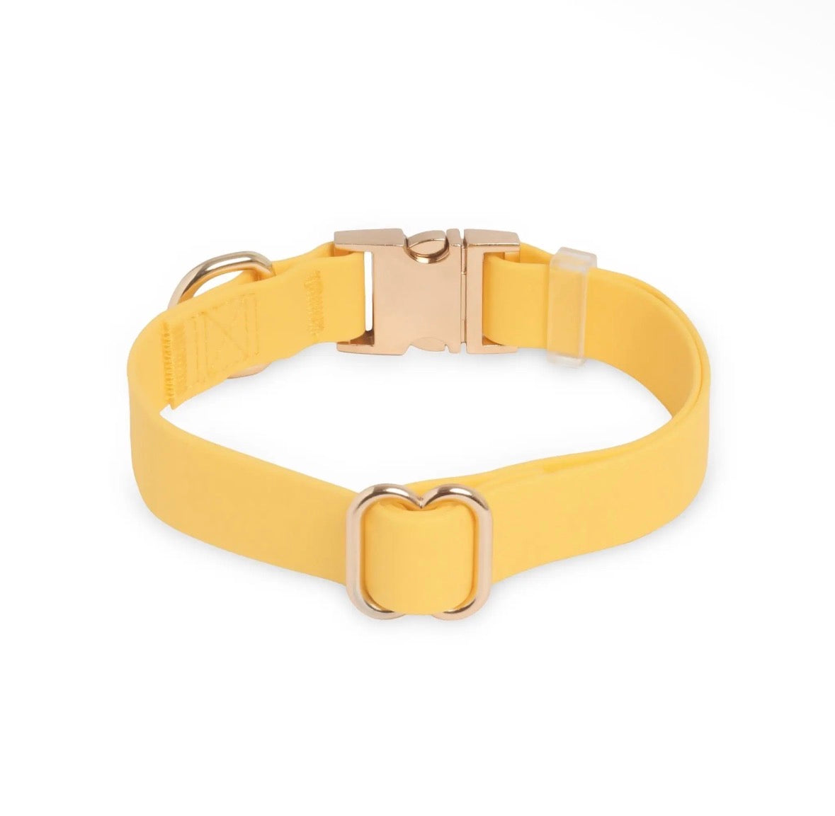 Collier imperméable | Sunny Sunny Tails
