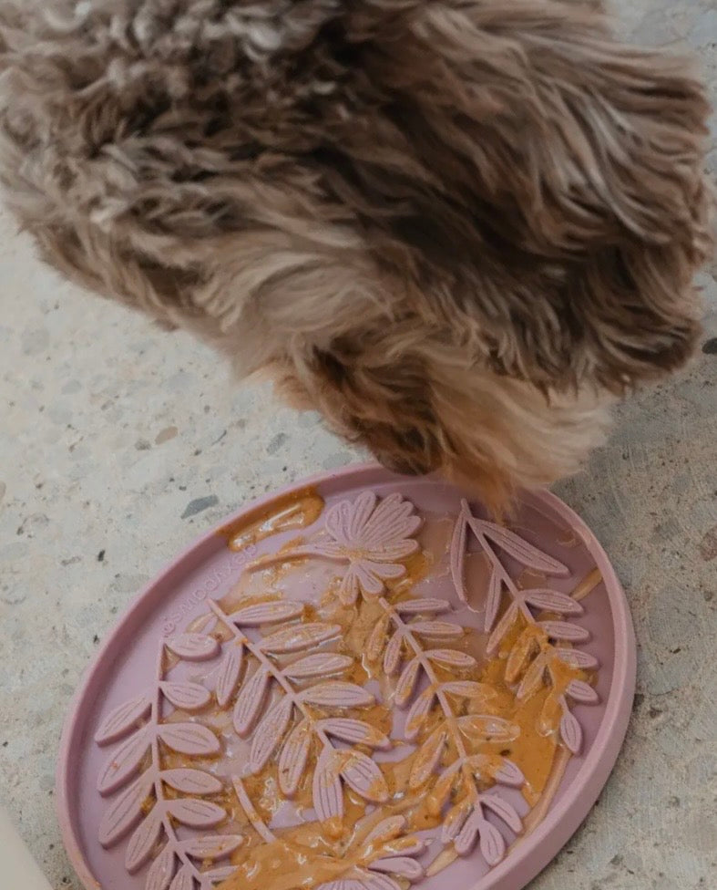 Tapis de léchage | Rosalie Dexy Paws