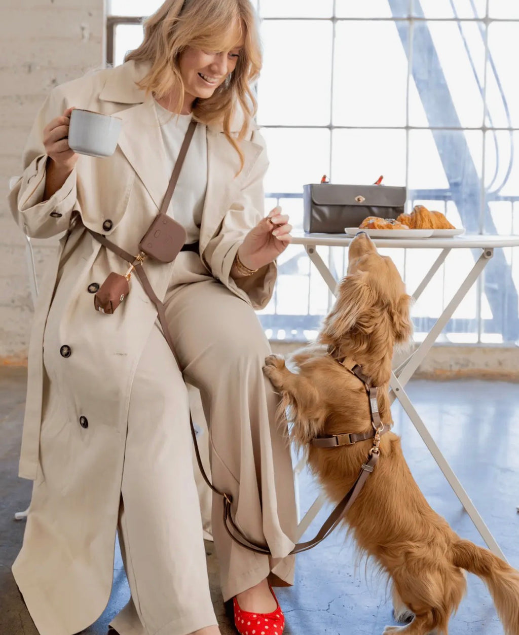Laisse mains libres imperméable | Sunny Sunny Tails