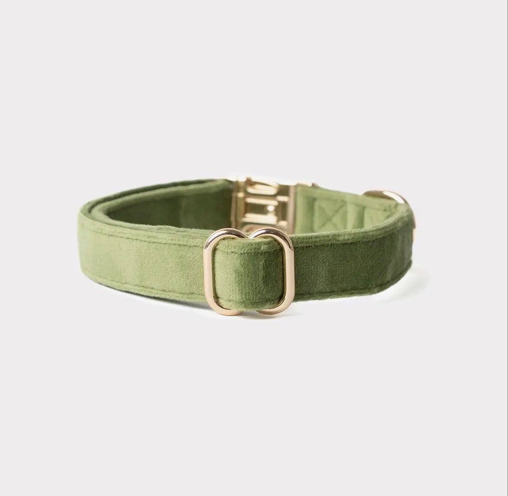 Collier velours | Aura Furlou