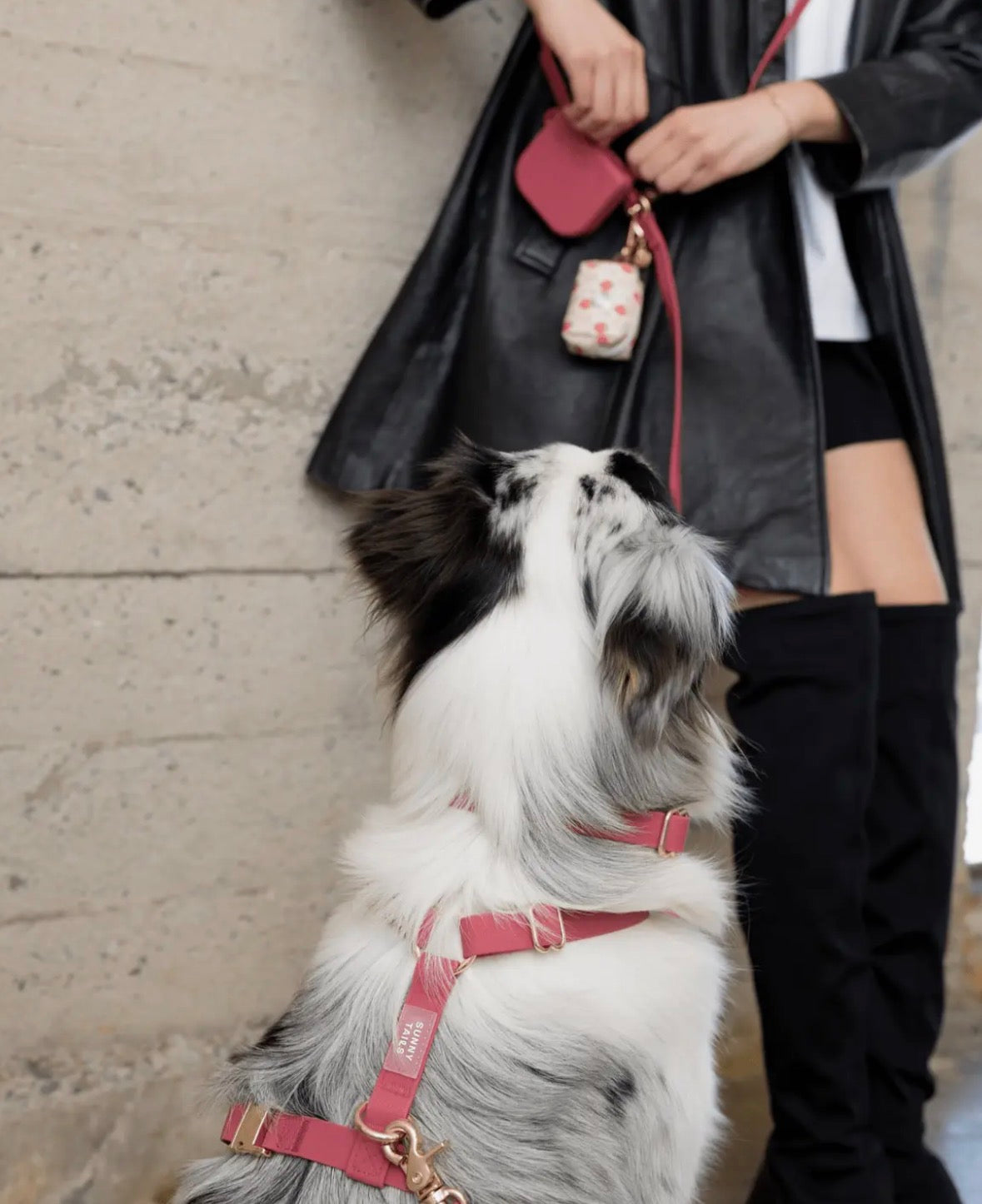 Harnais pour chien imperméable | Sunny Sunny Tails