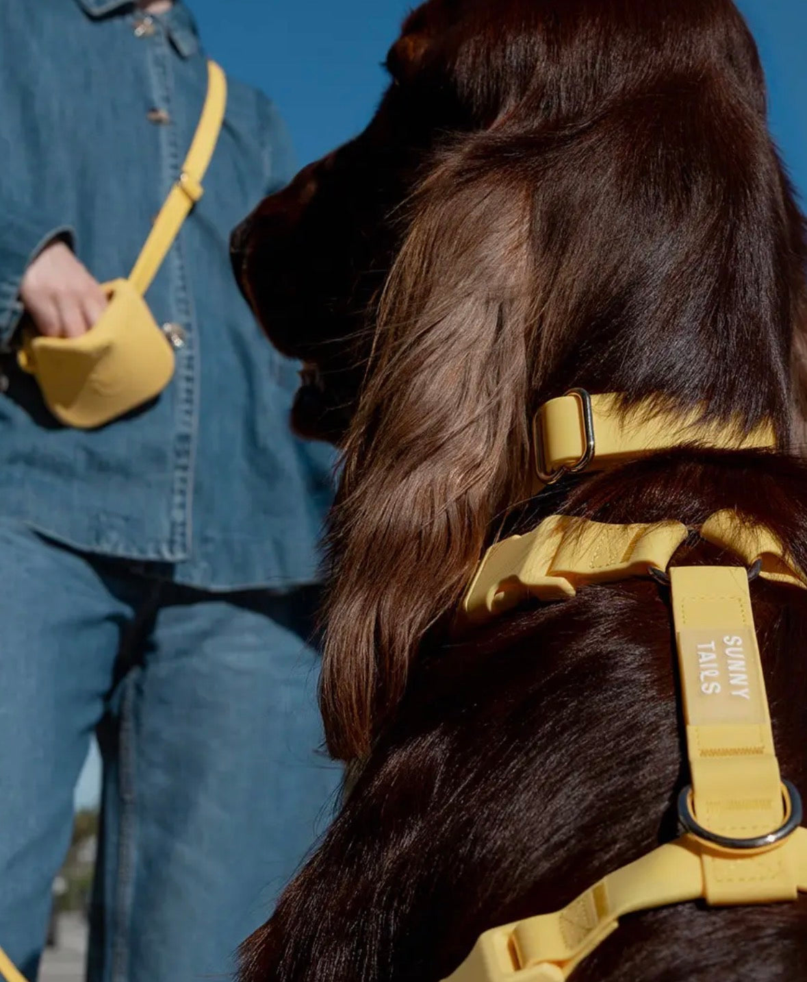 Harnais pour chien imperméable | Sunny Sunny Tails