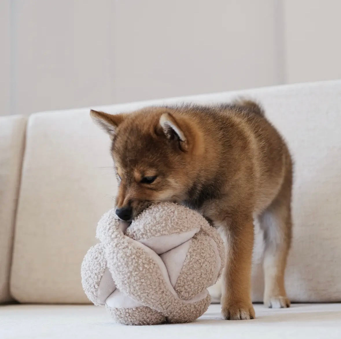 Jouet balle | Luma Lambwolf Collective