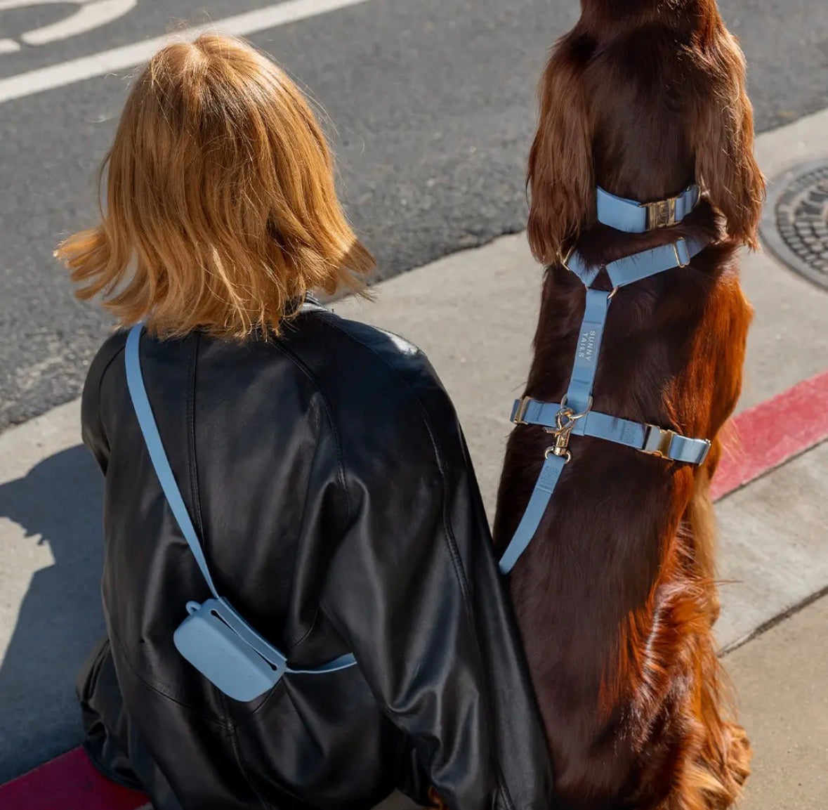 Laisse mains libres imperméable | Sunny Sunny Tails
