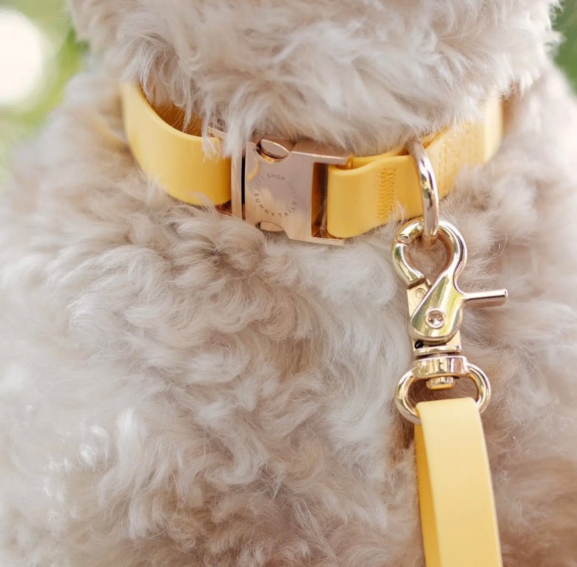 Laisse imperméable | Sunny Sunny Tails
