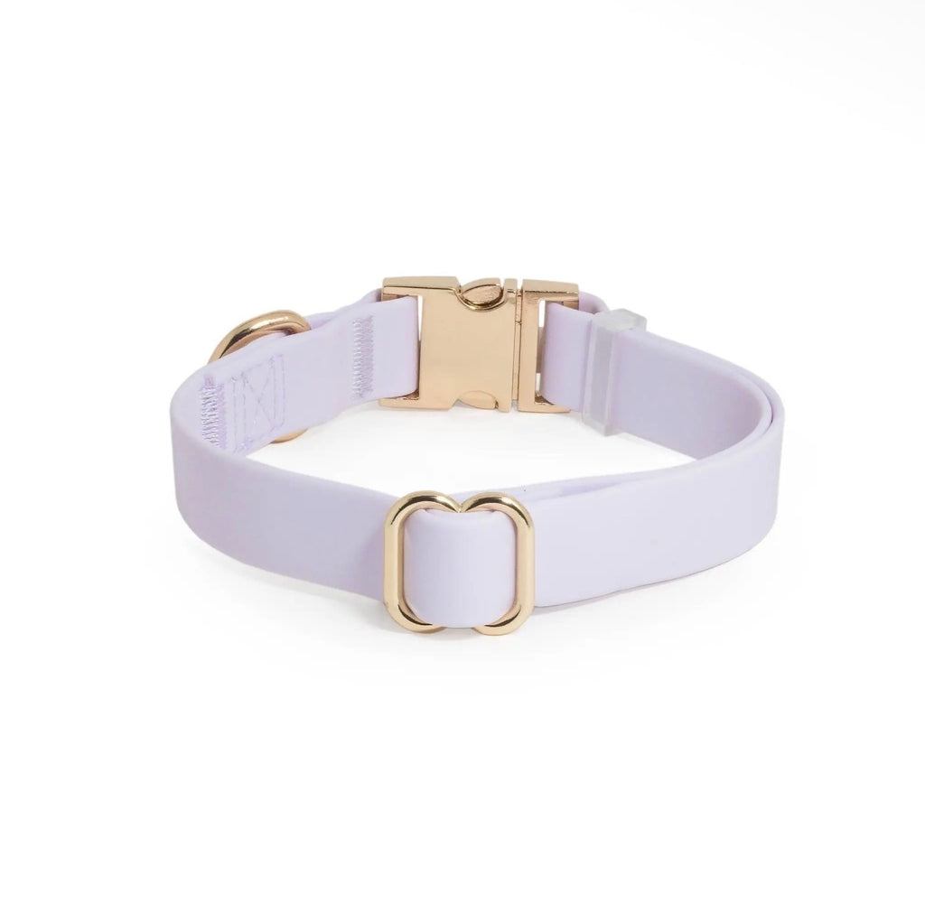 Collier imperméable | Sunny Sunny Tails