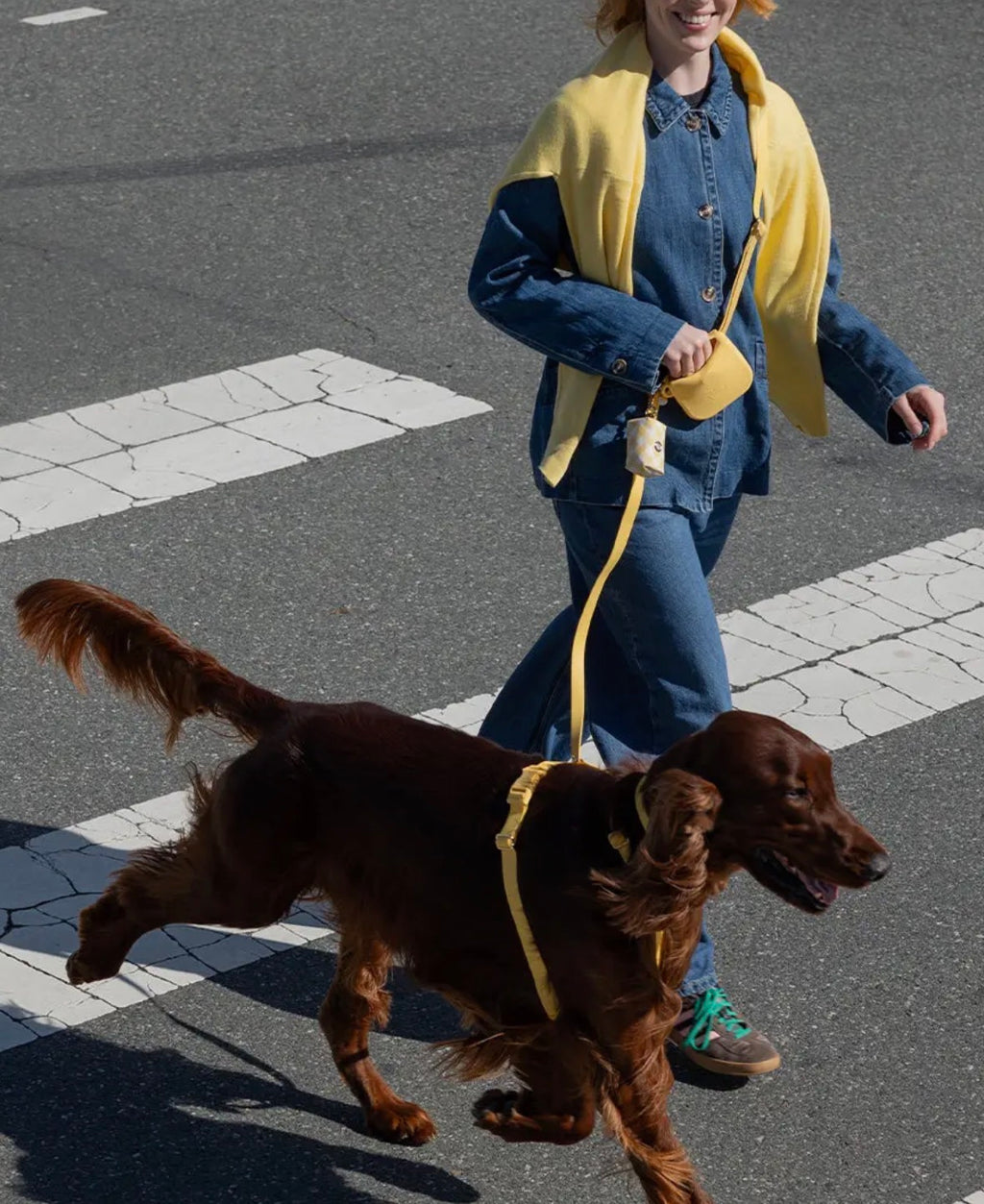 Laisse mains libres imperméable | Sunny Sunny Tails