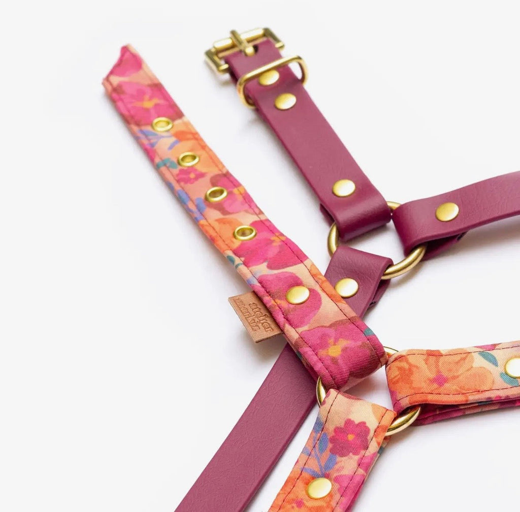 Harnais en Biothane | Colette Atelier Marquiz