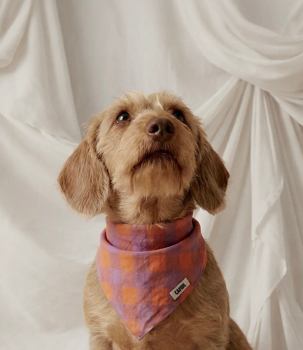 Bandana | Suzie Cafide