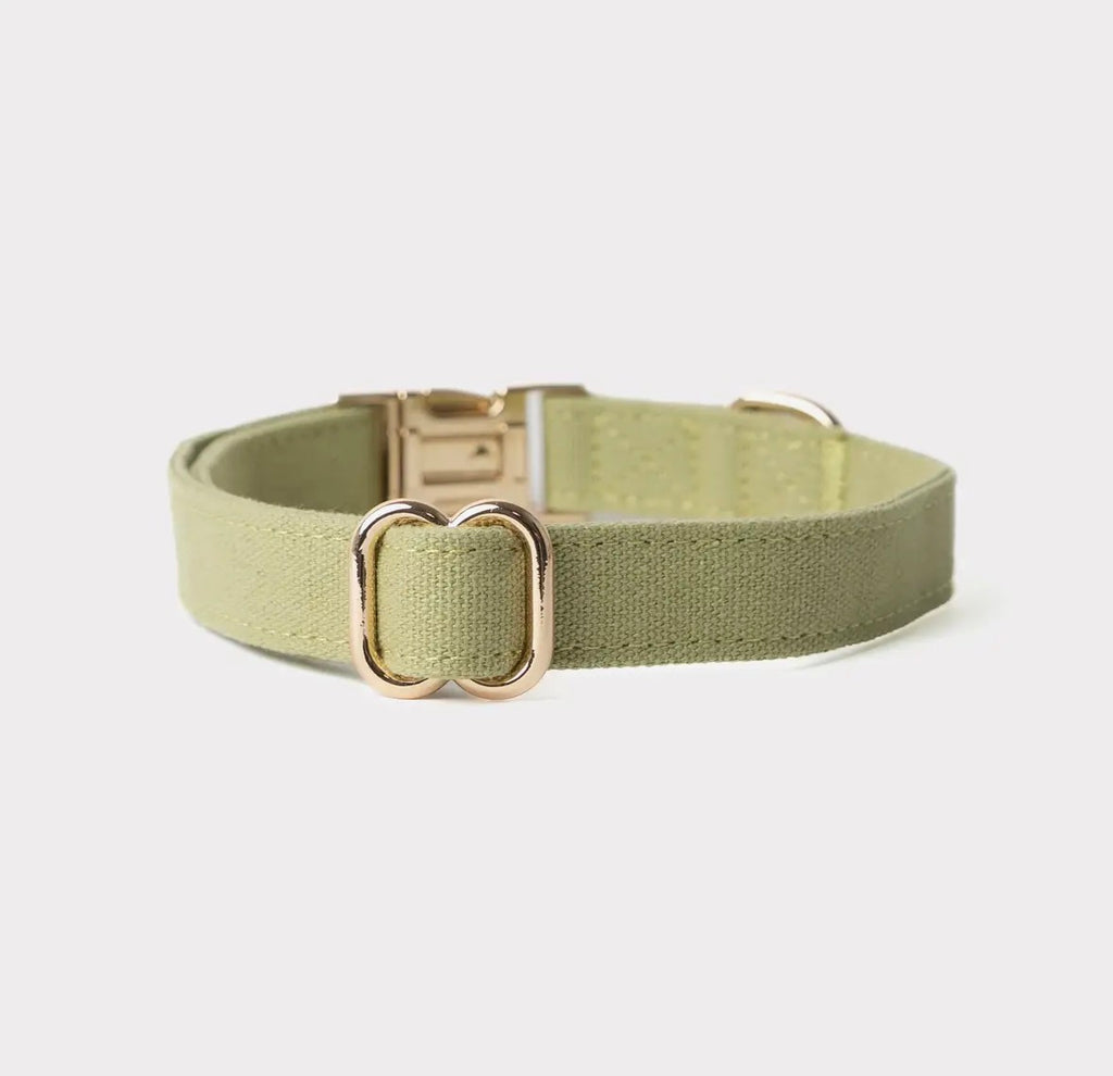 Collier en toile | Nox Furlou