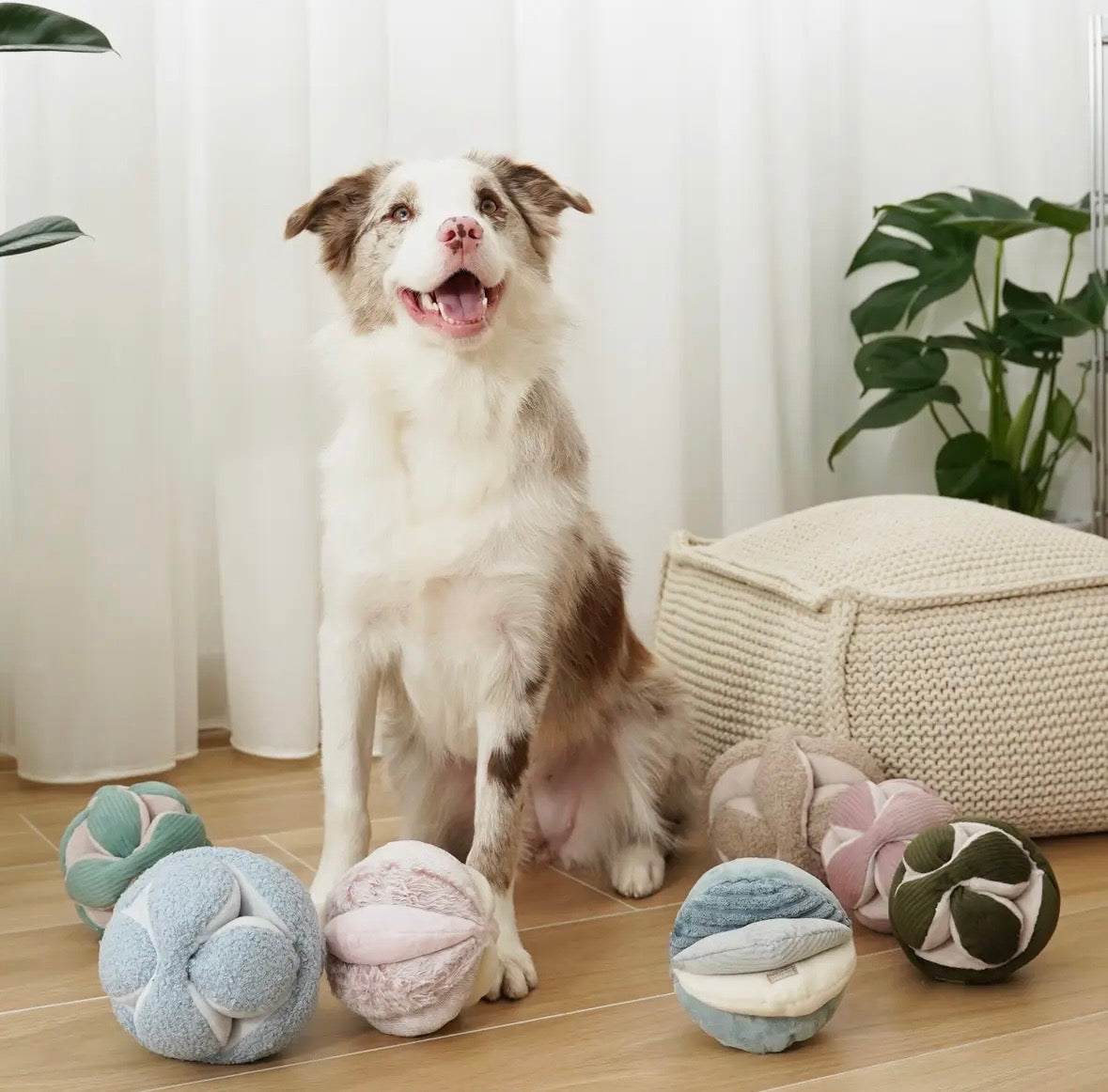 Jouet balle | Luma Lambwolf Collective