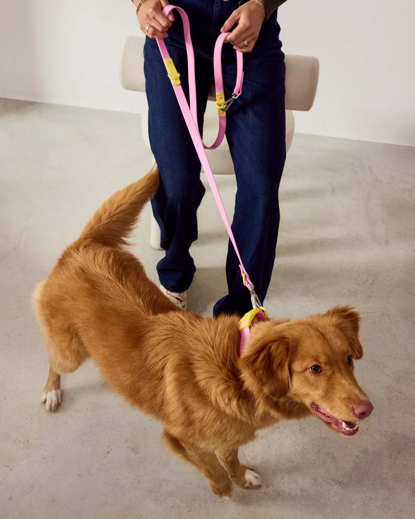 Laisse ajustable waterproof rose | Nautic Fritz