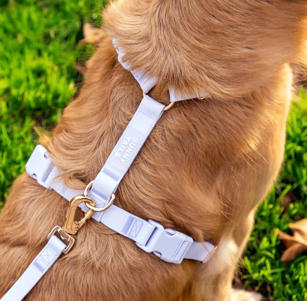 Harnais pour chien imperméable | Sunny Sunny Tails