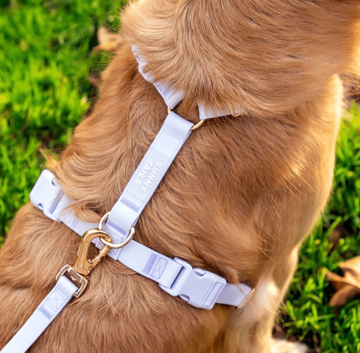 Harnais pour chien imperméable | Sunny Sunny Tails