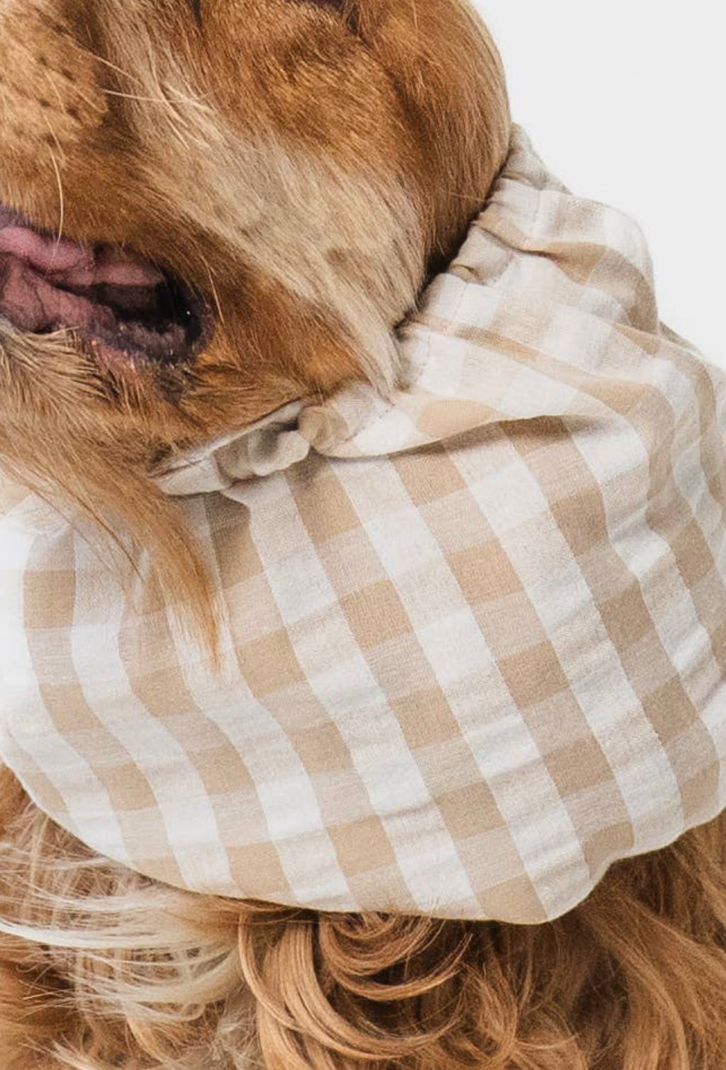 Snood | Billie Lou and Co.
