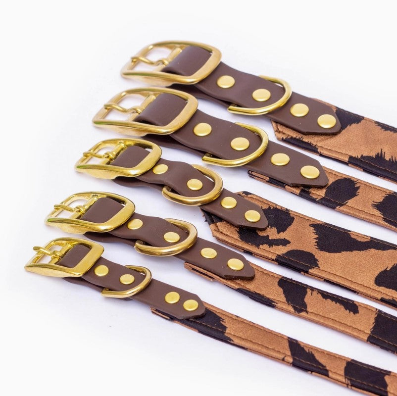 Collier Wild Léopard & Biothane