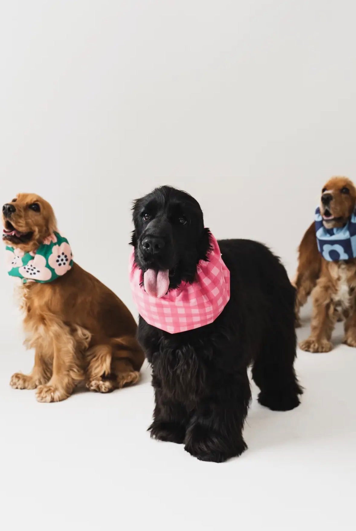 Snood | Billie Lou and Co.