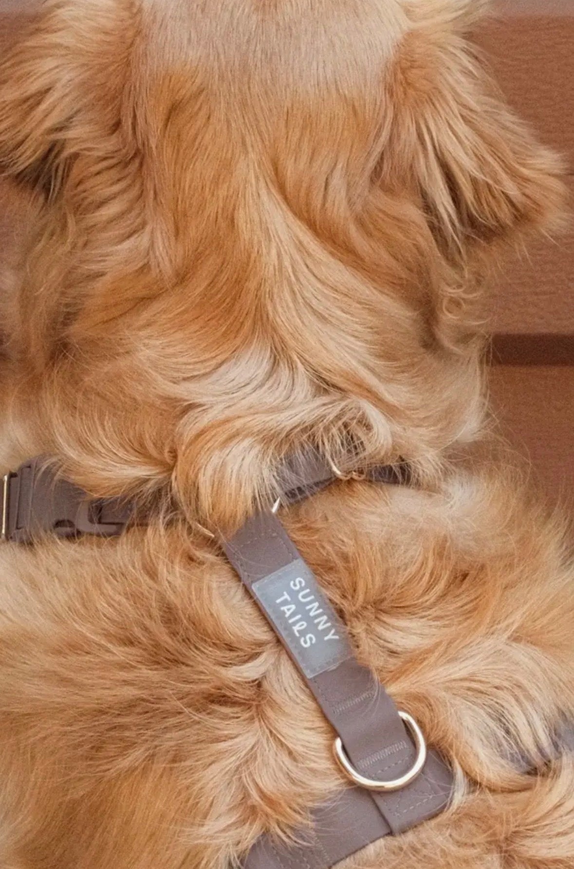 Harnais pour chien imperméable | Sunny Sunny Tails