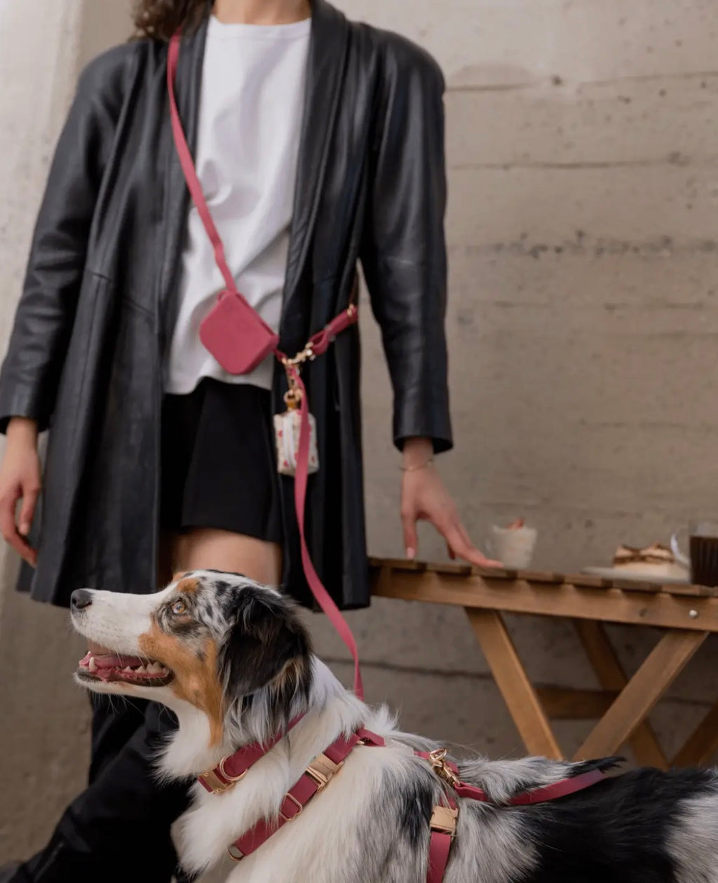 Laisse mains libres imperméable | Sunny Sunny Tails