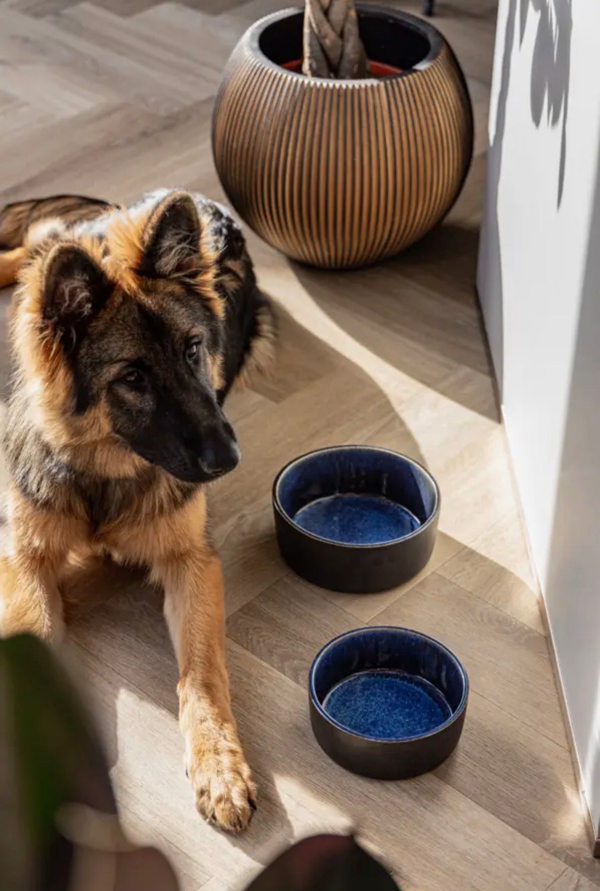 Gamelle céramique | Blue Ava Bowls