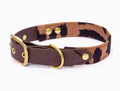 Collier Wild Léopard & Biothane