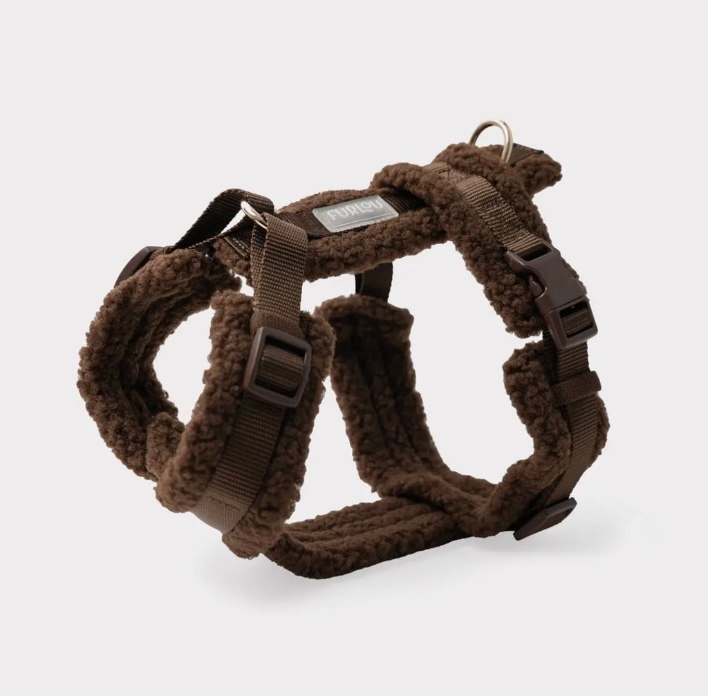 Harnais sherpa chocolat | Basile Furlou