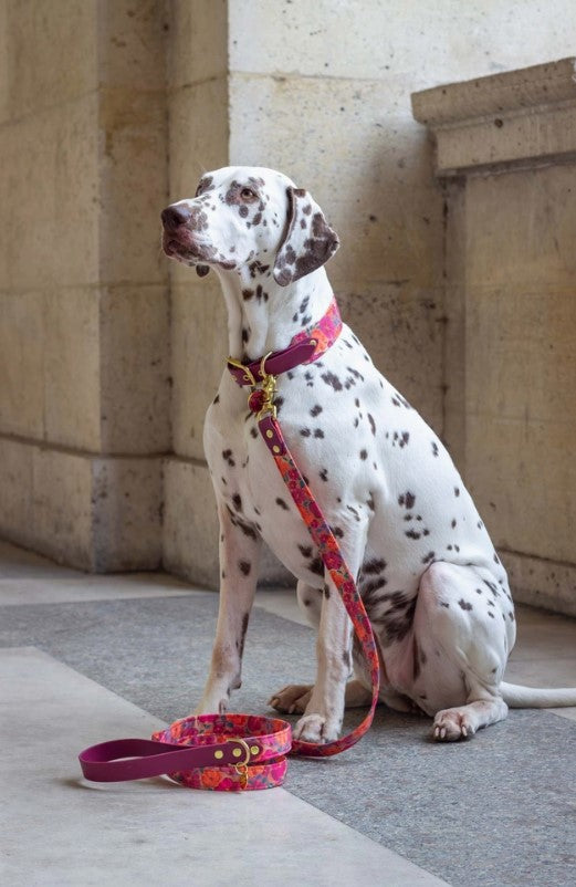 Laisse Bellagio fleurie