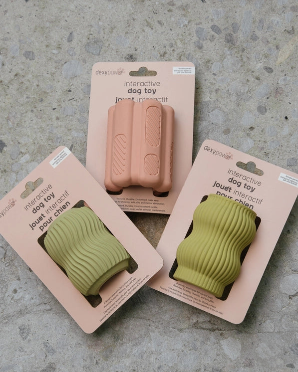 Jouet à garnir | Vert Sauge Dexy Paws