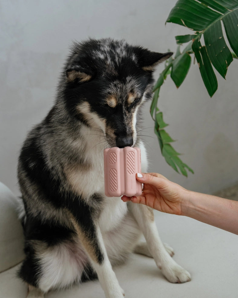 Jouet à garnir | Rose blush Dexy Paws